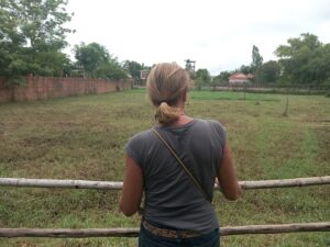 Woman looking at a field in Cambodia